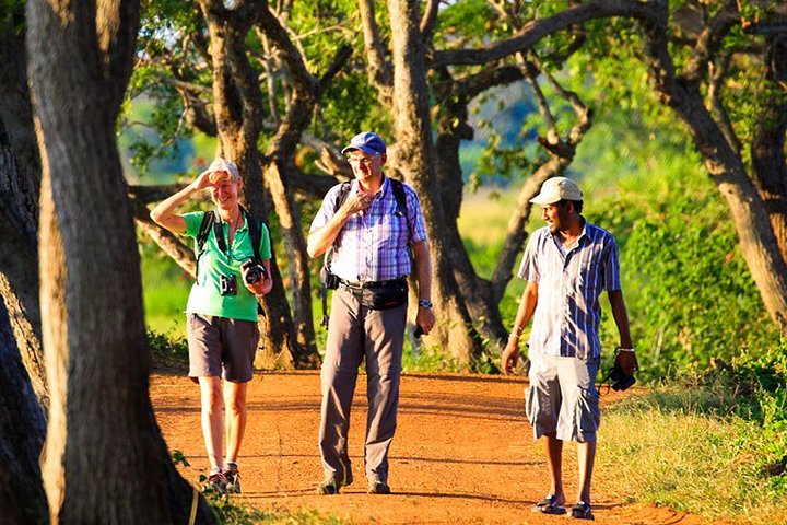 Sigiriya Rock Fortress